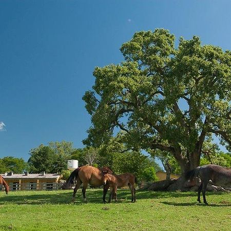 Pousada Chacara Das Roseiras Bagé Buitenkant foto
