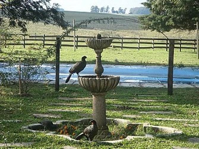Pousada Chacara Das Roseiras Bagé Buitenkant foto