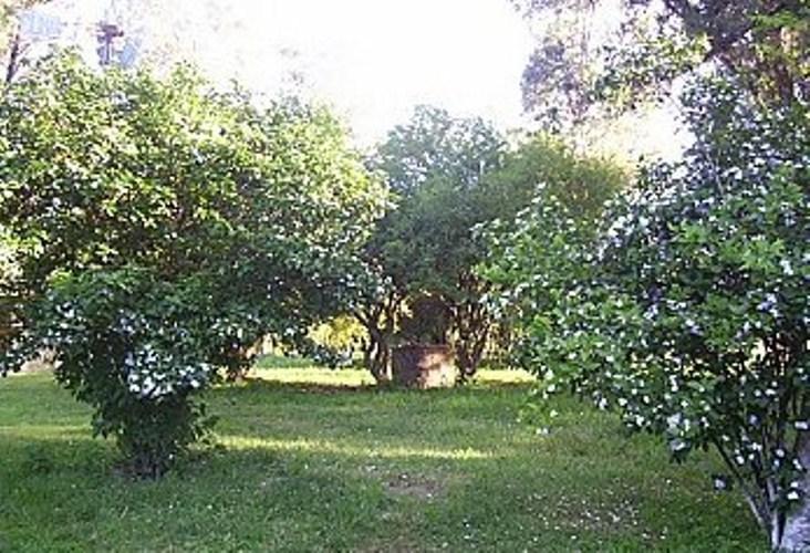 Pousada Chacara Das Roseiras Bagé Buitenkant foto